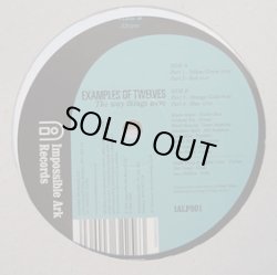 画像1: EXAMPLES OF TWELVES / THE WAY THINGS WERE (LP)