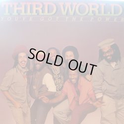 画像1: THIRD WORLD / YOU GOT THE POWER (LP)