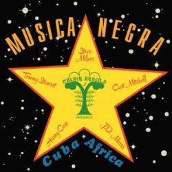 画像1: STEVO / MUSICA NEGRA (LP)♪