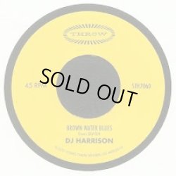 画像1: DJ HARRISON / RULE THE WORLD (7")