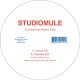 STUDIO MULE / CARNIVAL feat. MIYAKO KODA (12")♪