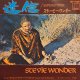 スティーヴィー・ワンダー（Stevie Wonder) / 迷信 (7")♪