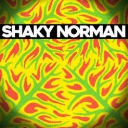 画像1: SHAKY NORMAN / S.T. (LP)♪