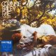 CORINNE BAILER RAE / THE SEA (LP)♪