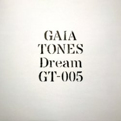 画像1: GAIA TONES / DREAM (12")♪