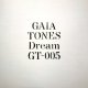 GAIA TONES / DREAM (12")♪