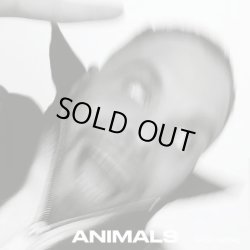 画像1: KASSA OVERALL / ANIMALS (LP：Re-Entry)♪