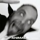 KASSA OVERALL / ANIMALS (LP：Re-Entry)♪