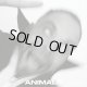 KASSA OVERALL / ANIMALS (LP：Re-Entry)♪