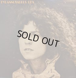 画像1: TYRANNOSAURUS REX / THE BEARD OF STARS (LP)
