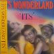 イッツ / IT’S WONDERLAND (LP)♪