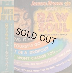 画像1: ジェームス・ブラウン（James Brown）/ ロウ・ソウル (LP)