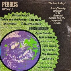 画像1: V.A. / PEBBLES Volume 3 : THE ACID GALLERY (LP)♪