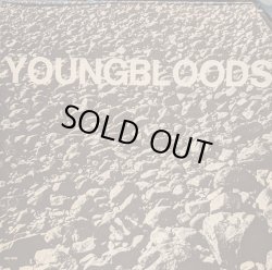 画像1: THE YOUNGBLOODS / ROCK FESTIVAL (LP)