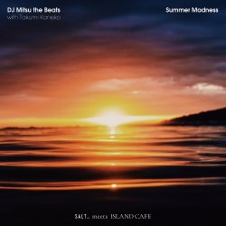 画像1: DJ MITSU THE BEATS / SUMMER MADNESS (7")♪