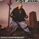 FAT JOE / REPRESENT (LP)♪