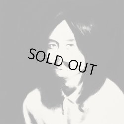 画像1: 細野晴臣（V.A.）/ HOSONO HOUSE REVISITED (LP：Re-Entry)♪