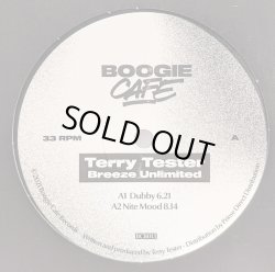 画像1: TERRY TESTER / BREEZE UNLIMITED (12")