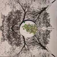 MICHEL CLEIS & SALVATORE FREDA / UVA FRAGOLINA (12")♪