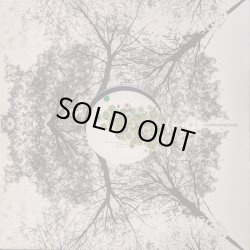 画像1: MICHEL CLEIS & SALVATORE FREDA / UVA FRAGOLINA (12")♪