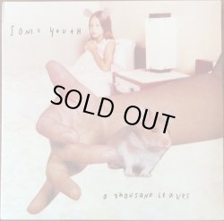 画像1: SONIC YOUTH / A THOUSAND LEAVES (LP)♪