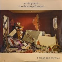 SONIC YOUTH / THE DESTROYED ROOM (B-SIDES AND RARITIES) (LP)♪