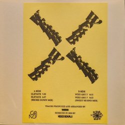 画像1: WEBB / ELEVATE (12")♪