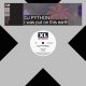 DJ PYTHON / I WAS PUT ON THIS EARTH (12")♪