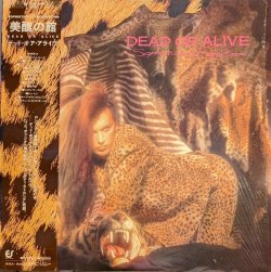 画像1: デッド・オア・アライヴ（Dead Or Alive）/ 美醜の館 (LP)♪