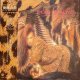 デッド・オア・アライヴ（Dead Or Alive）/ 美醜の館 (LP)♪