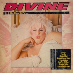 画像1: DIVINE / THE STORY SO FAR … (LP)♪