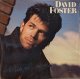 DAVID FOSTER / S.T. (LP)♪
