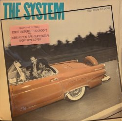 画像1: THE SYSTEM / DON’T DISTURB THIS GROOVE (LP)♪