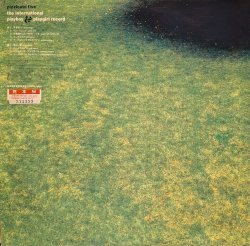 画像2: PIZZICATO FIVE / THE INTERNATIONAL PLAYBOY & PLAYGIRL RECORD (LP)♪