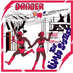 画像1: THE LIJADU SISTERS / DANGER (LP)♪