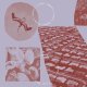 RINDERT LAMMERS / THANK YOU FOR KIRIN KIKI (EP)♪