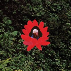 画像1: LIONMILK / WHEN THE FLOWERS BLOOM (LP)♪