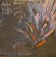 JULIEN BAKER / TURN OUT THE LIGHT (LP)♪