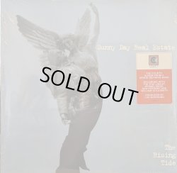 画像1: SUNNY DAY REAL ESTATE / THE RISING TIDE (LP)