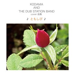 画像1: KODAMA AND THE DUB STATION BAND / ともしび (LP)♪