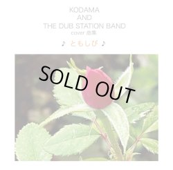 画像1: KODAMA AND THE DUB STATION BAND / ともしび (LP)