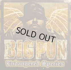 画像1: BIG PUN / ENDANGERED SPECIES (LP)