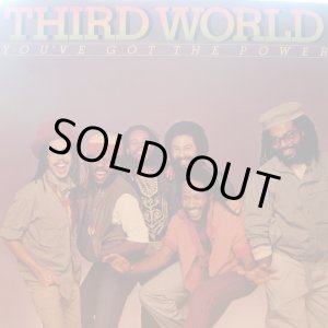 画像: THIRD WORLD / YOU GOT THE POWER (LP)