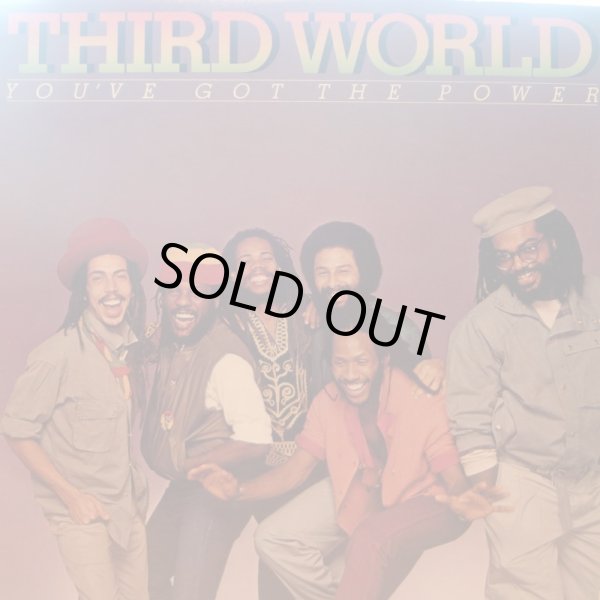 画像1: THIRD WORLD / YOU GOT THE POWER (LP)