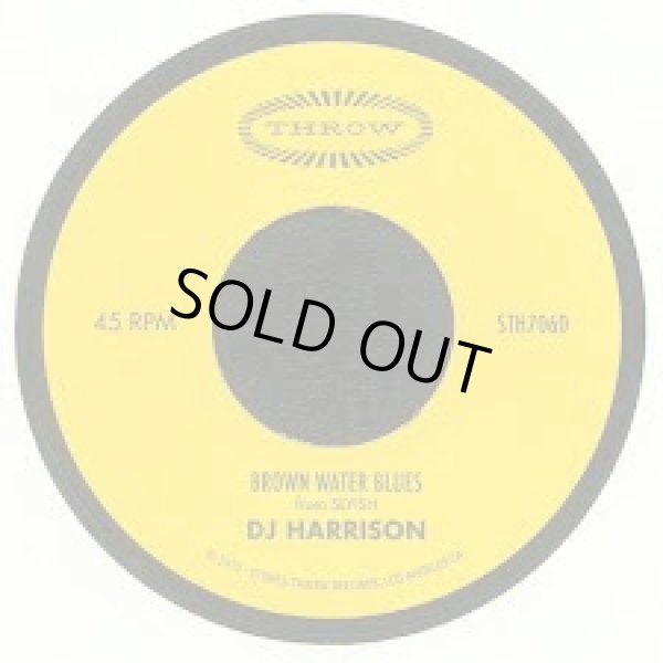 画像1: DJ HARRISON / RULE THE WORLD (7")