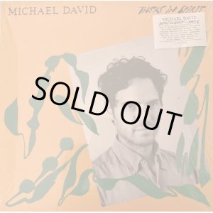 画像: MICHAEL DAVID / THERE IN SPIRIT (12")