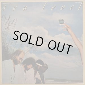 画像: シー・レヴェル（Sea Level）/ 荒海 (LP)♪