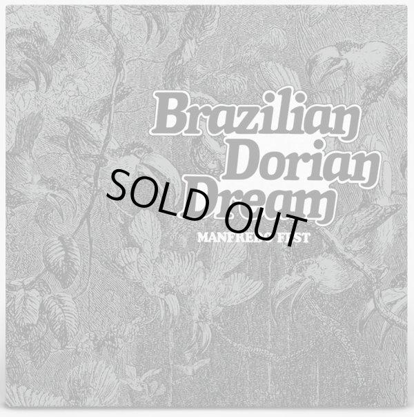 画像1: MANFREDO FEST / BRAZILIAN DORIAN DREAM (LP：Re-Entry)♪