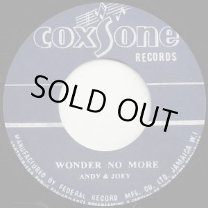 画像: ANDY & JOEY / WONDER NO MORE (7")♪