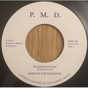 画像: SONS OF THE KINGDOM / MODERNIZATION (7")♪